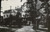1870 evergreens_tiny